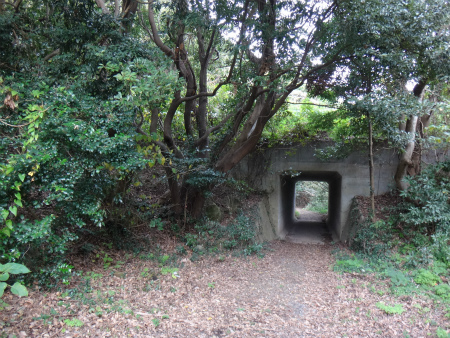 d0182075_02314107.jpg