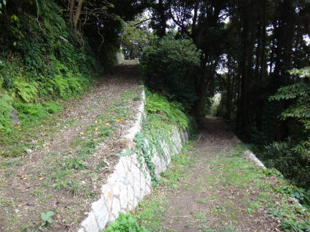 d0182075_02351175.jpg
