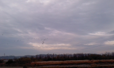 c0069380_20515355.jpg