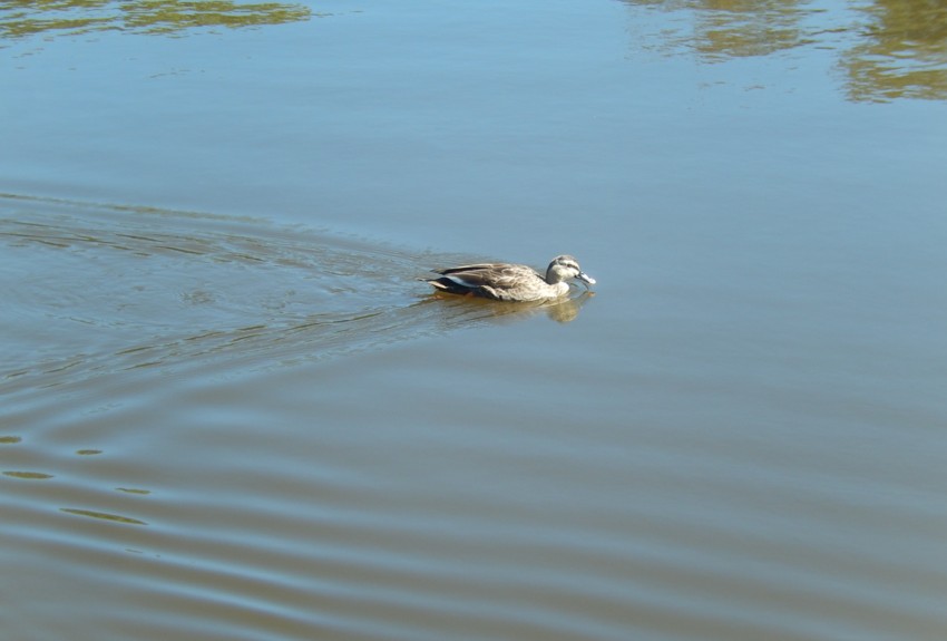 c0144185_22394438.jpg