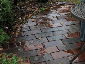 e0130185_13144245.jpg