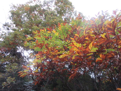 f0053885_20152247.jpg