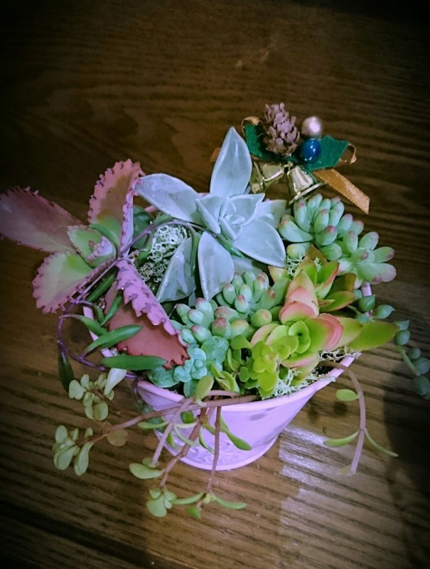 f0371490_07283568.jpg