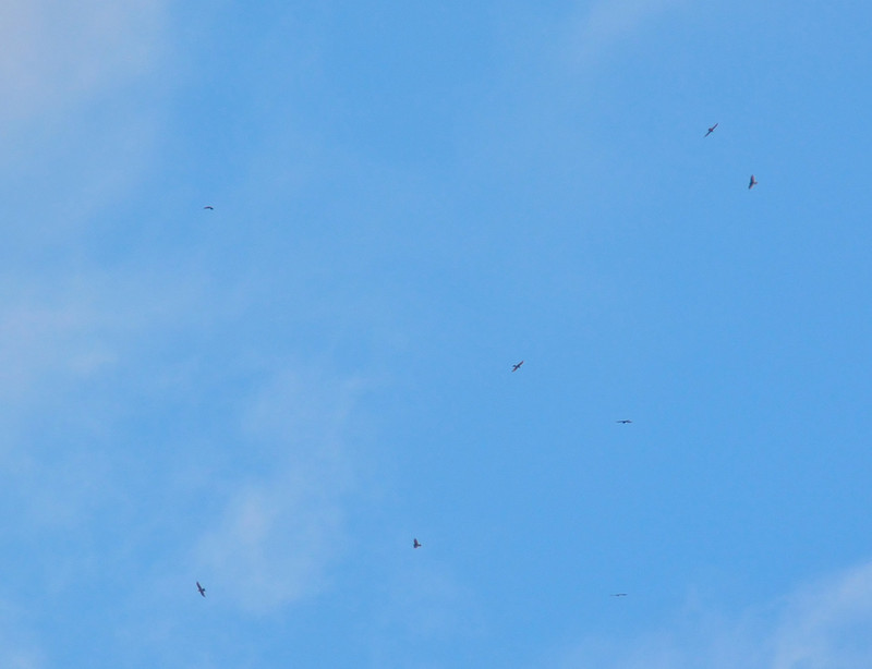 e0362696_15430277.jpg