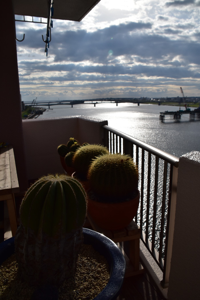 c0049299_22593962.jpg