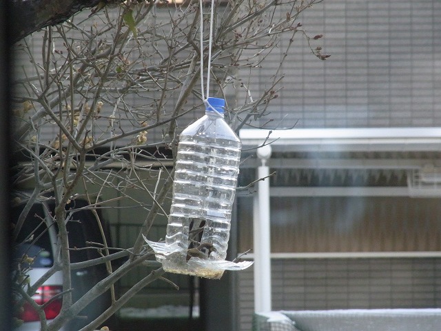 f0157901_13384087.jpg