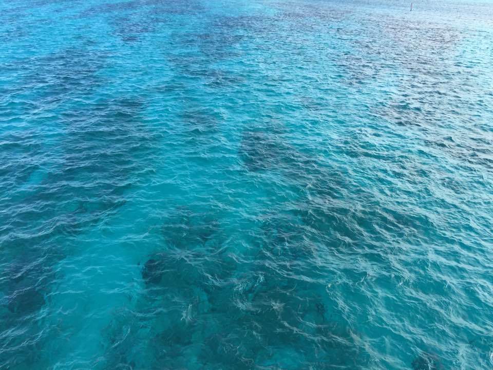 d0024504_21425243.jpg
