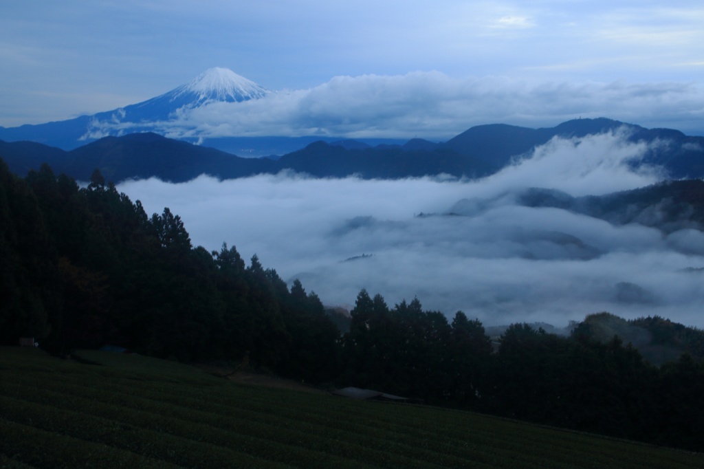 a0188405_08471307.jpg