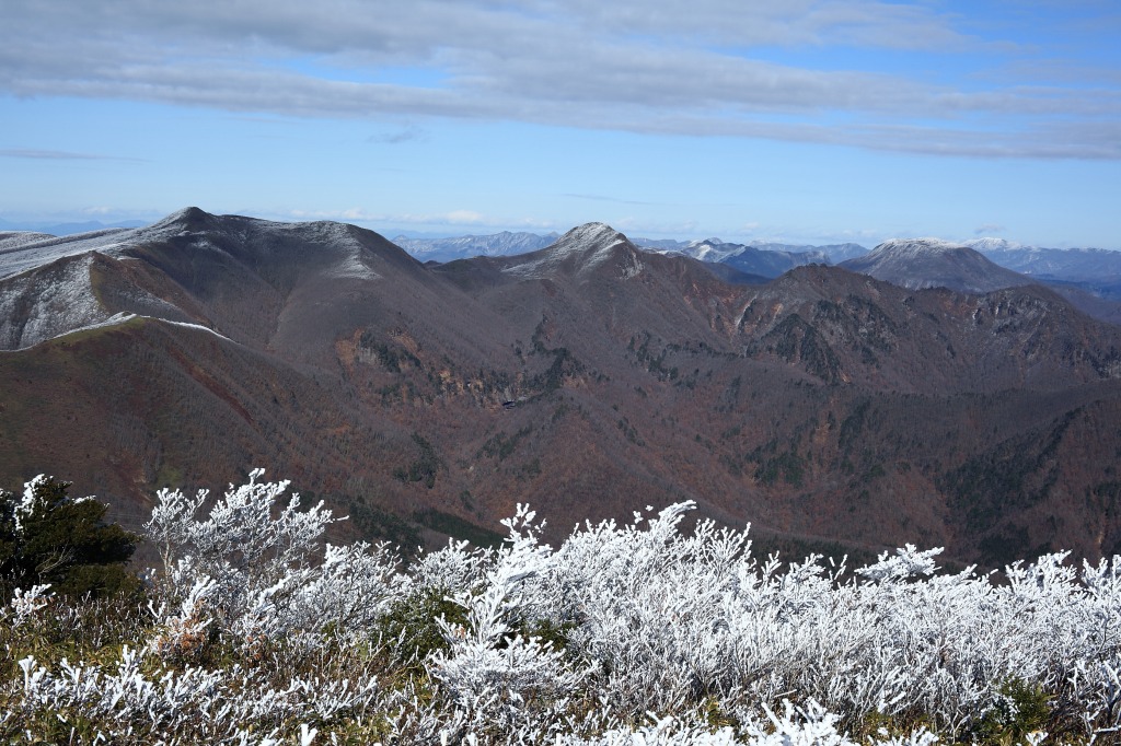 b0050305_2027517.jpg