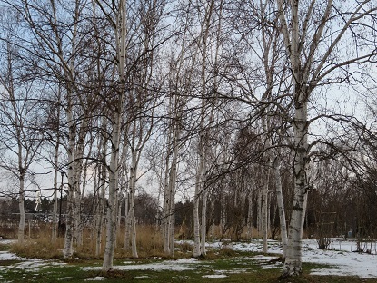 f0325309_19120497.jpg
