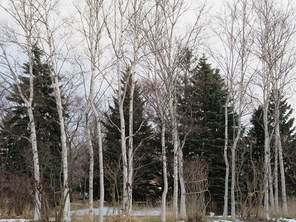 f0325309_19131033.jpg