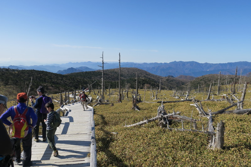 d0103314_23034476.jpg