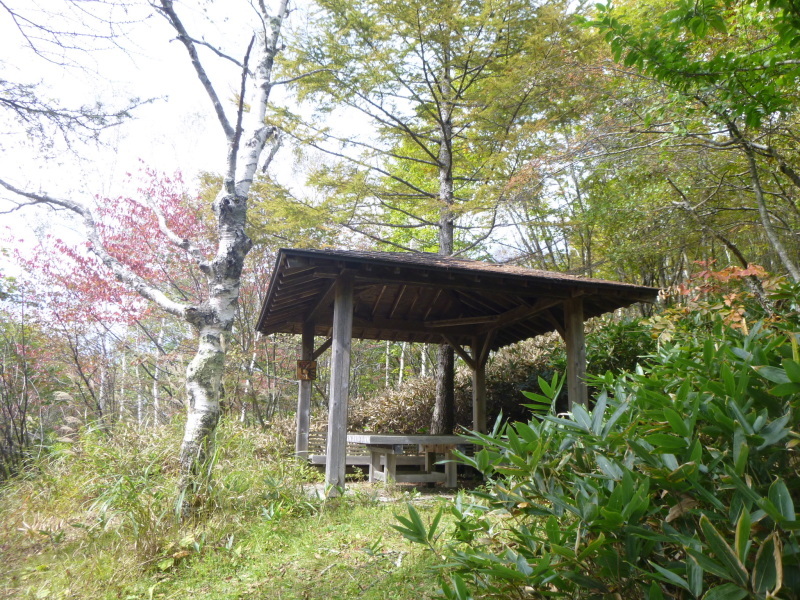 d0170615_09381839.jpg