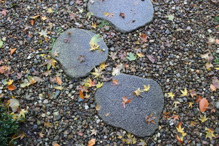 e0116315_20170930.jpg