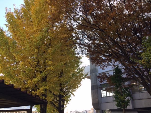 f0011022_12213993.jpg