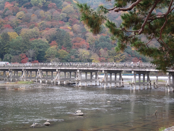 d0001533_22582994.jpg