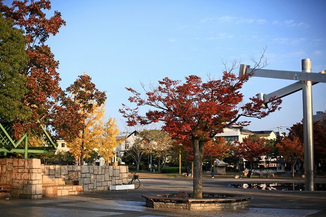 a0242438_20212378.jpg