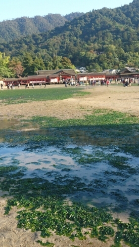 c0175339_17242519.jpg