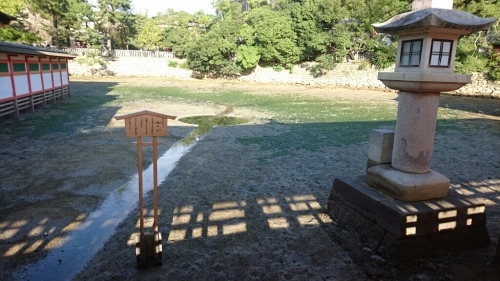 c0175339_17243230.jpg