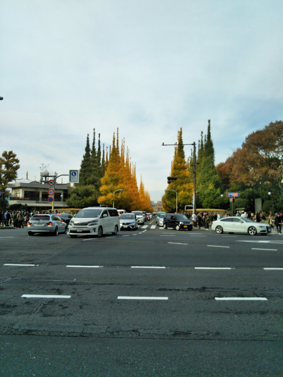 b0031140_15553750.jpg