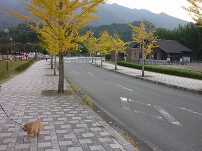 c0211540_23510834.jpg