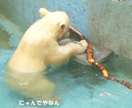 f0002743_8473711.jpg