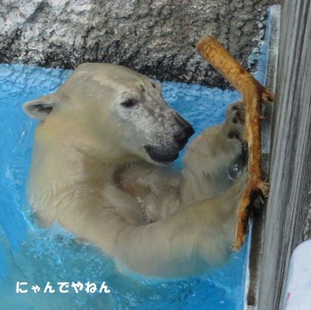 f0002743_8481229.jpg