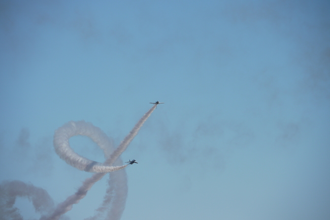 d0080547_1645429.jpg