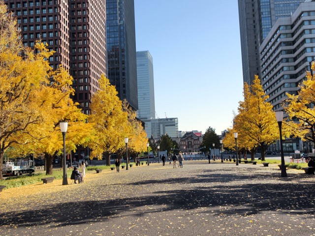 b0009849_15252847.jpg