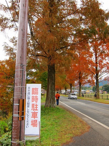 c0327752_15505897.jpg