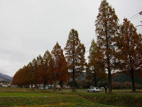c0327752_15534863.jpg
