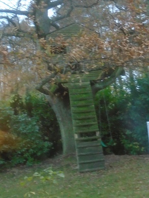 e0010856_10392244.jpg