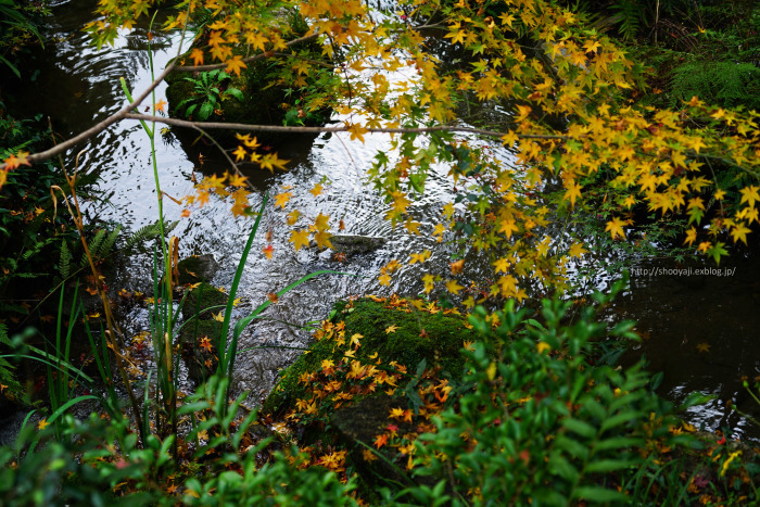 a0333661_22325316.jpg