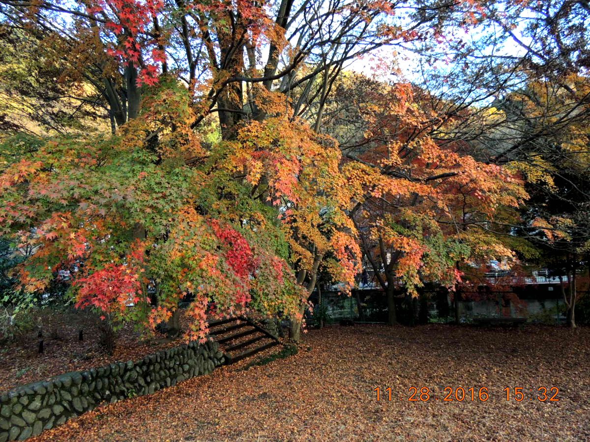 f0104277_22383856.jpg
