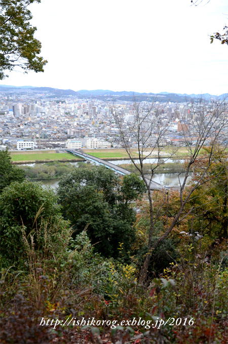 a0223379_1629166.jpg