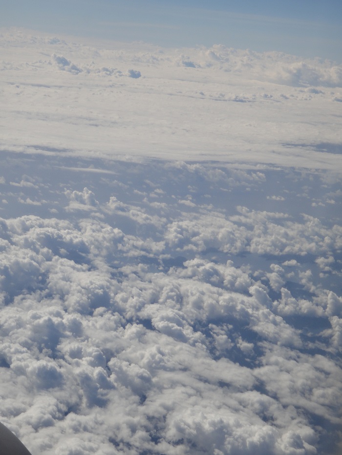 f0238779_8204028.jpg