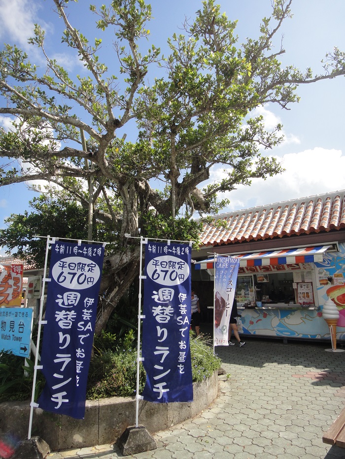 f0238779_8243783.jpg