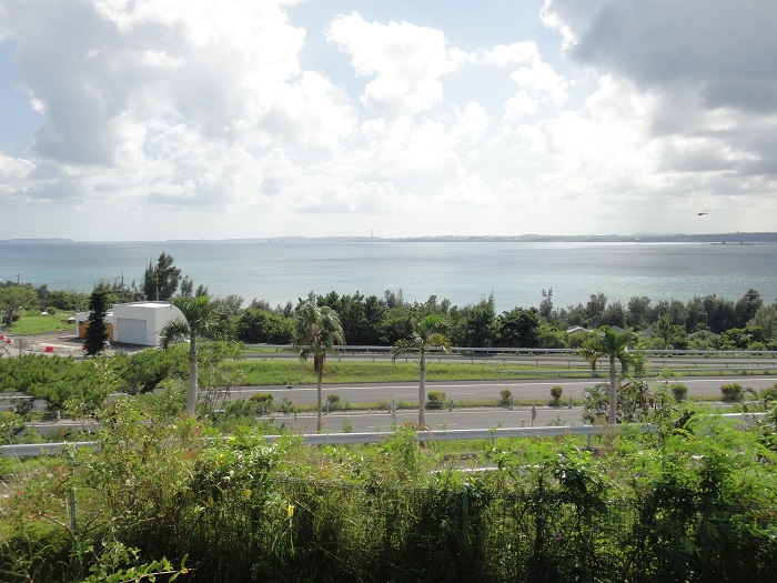 f0238779_825580.jpg