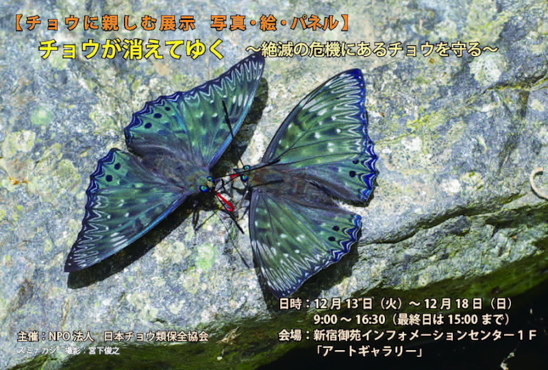 f0090680_15585140.jpg