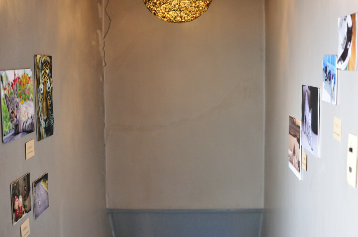 e0148083_15555427.jpg