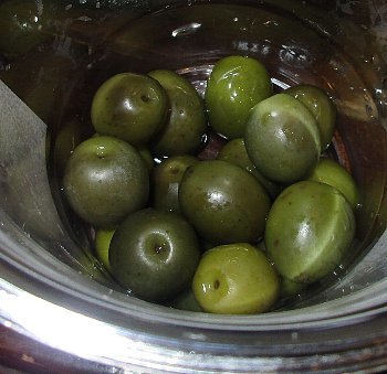 f0003283_14563576.jpg