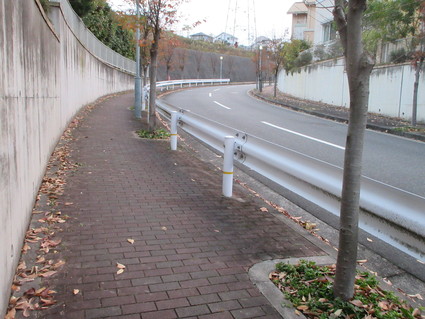 f0053885_21121728.jpg