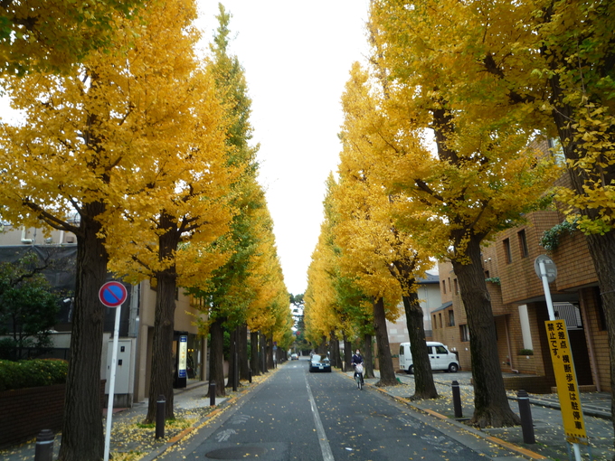b0197486_9282169.jpg