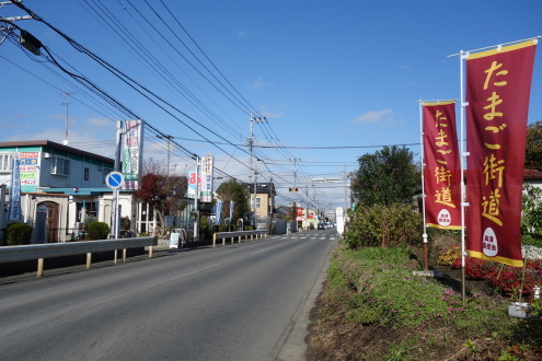 d0183387_16210021.jpg