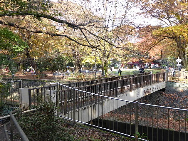 b0287088_19284822.jpg