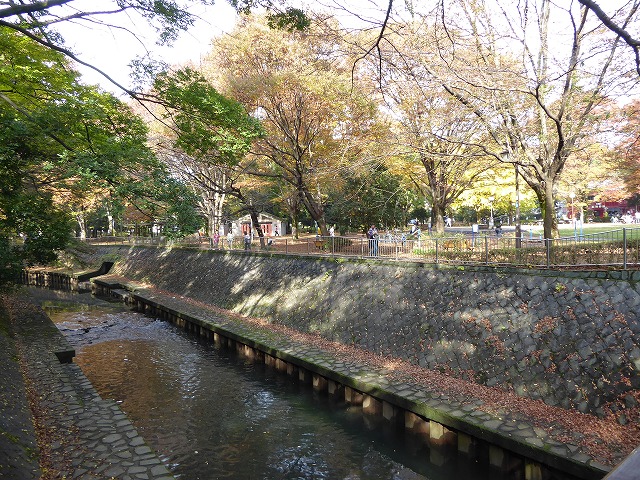 b0287088_1929492.jpg