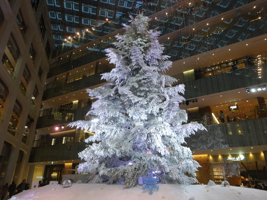 a0272591_19245768.jpg