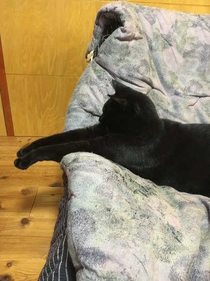 c0011300_22132768.jpeg