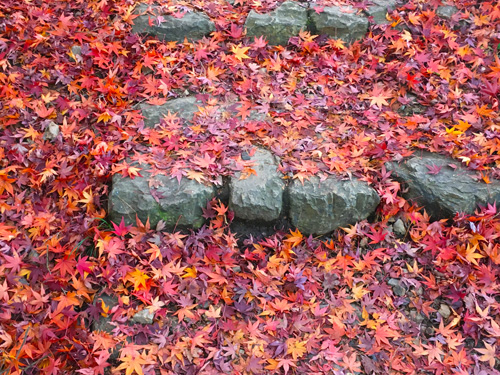 c0192202_1231513.jpg