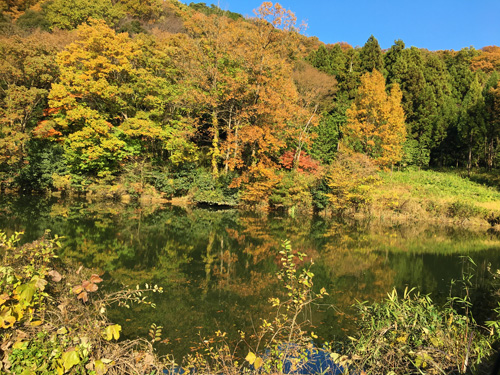 c0192202_1231694.jpg
